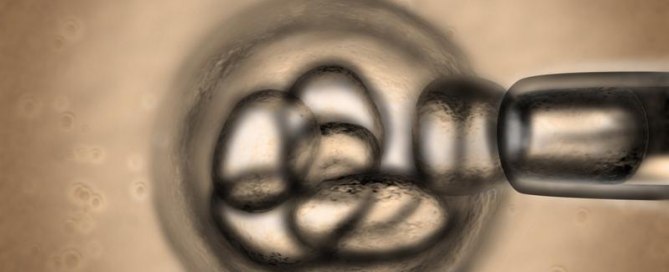 Know the Difference in Stem Cell Sources